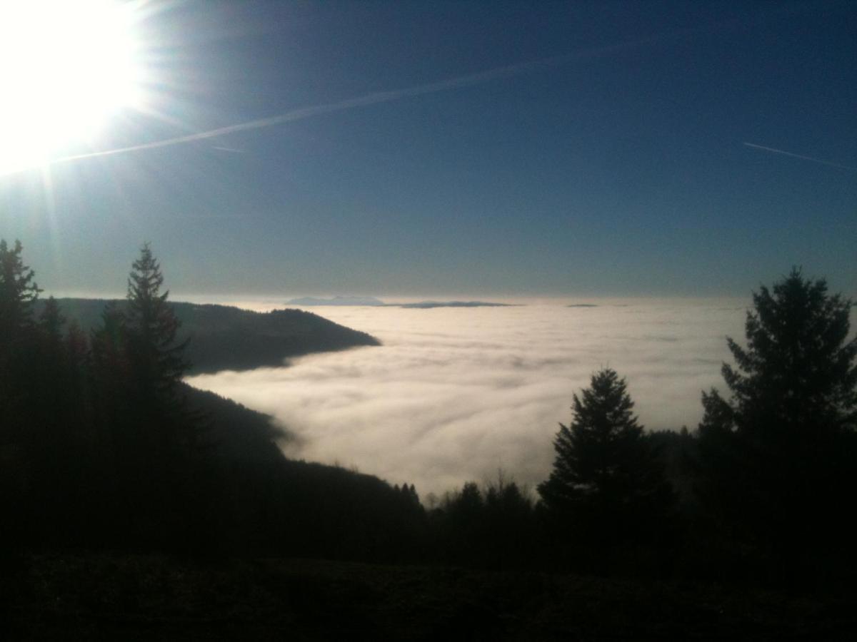 Les Gites De La Serva - Champ Du Feu - Montagnes- Vosges Belmont  Esterno foto
