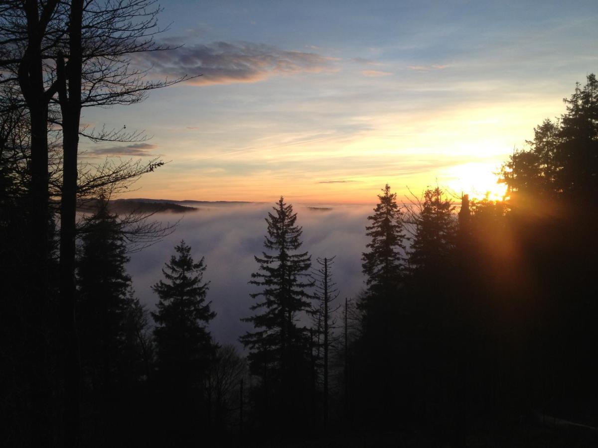 Les Gites De La Serva - Champ Du Feu - Montagnes- Vosges Belmont  Esterno foto
