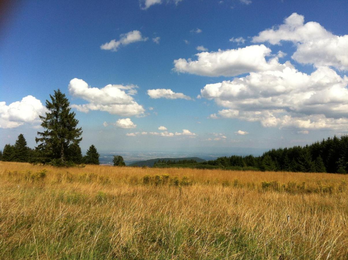 Les Gites De La Serva - Champ Du Feu - Montagnes- Vosges Belmont  Esterno foto